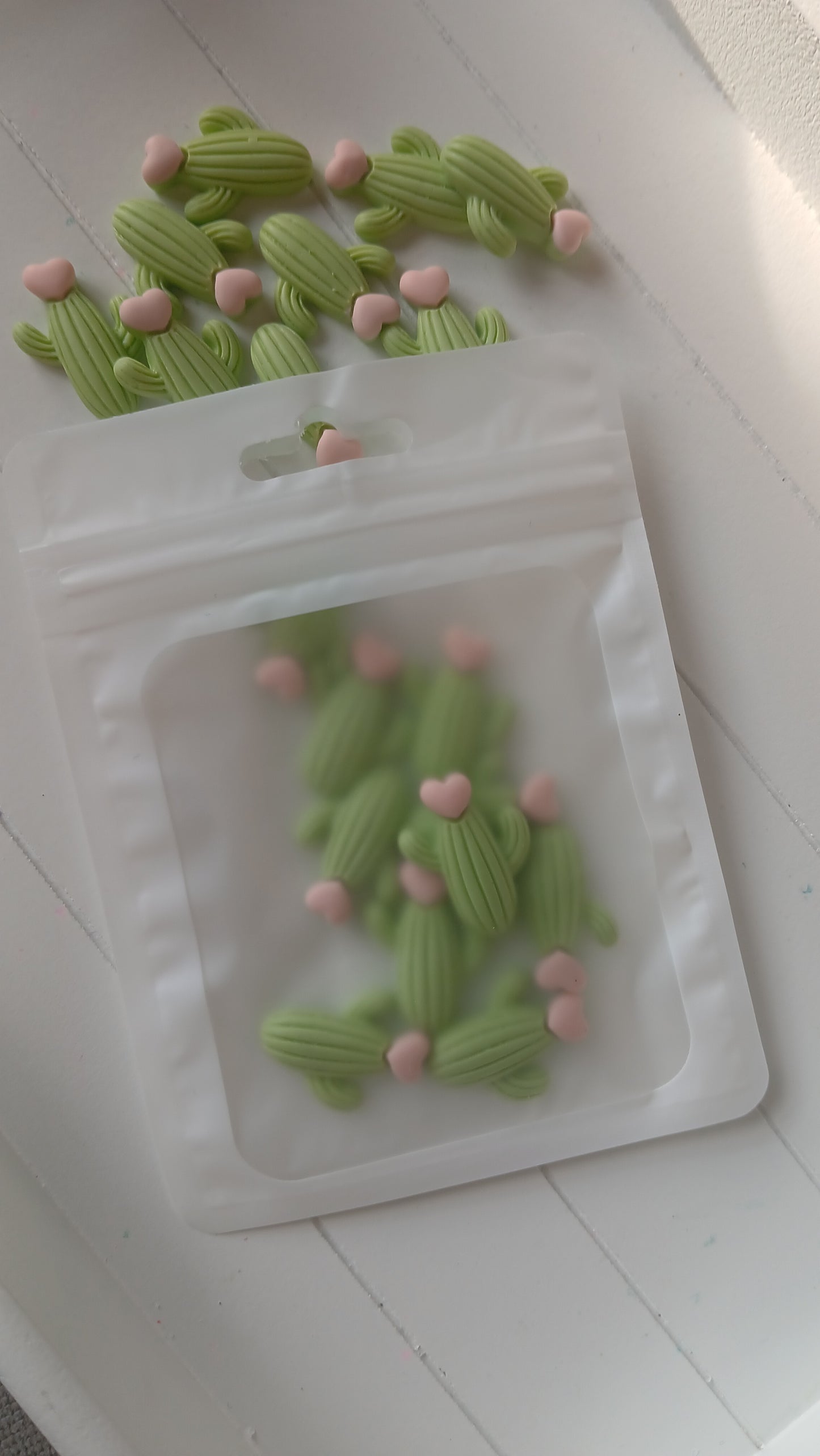 Cactus 🌵 (pack of 10)