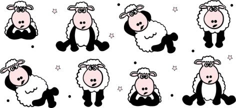 Sassy Sheep