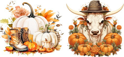 Highland Pumpkin